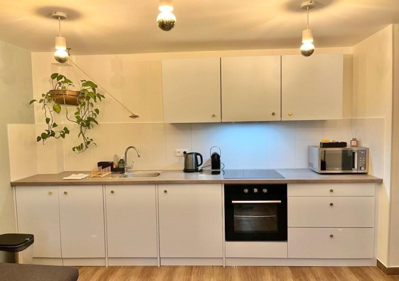 Appartement 2P Strasbourg Centre Bagian luar foto